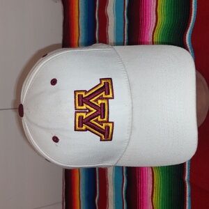 Top of the World Minnesota Golden Gophers Embroidered Logo Mascot Fitted Cap OS